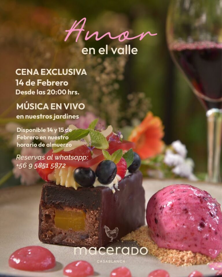 WhatsApp Image 2026-02-08 at 09.16