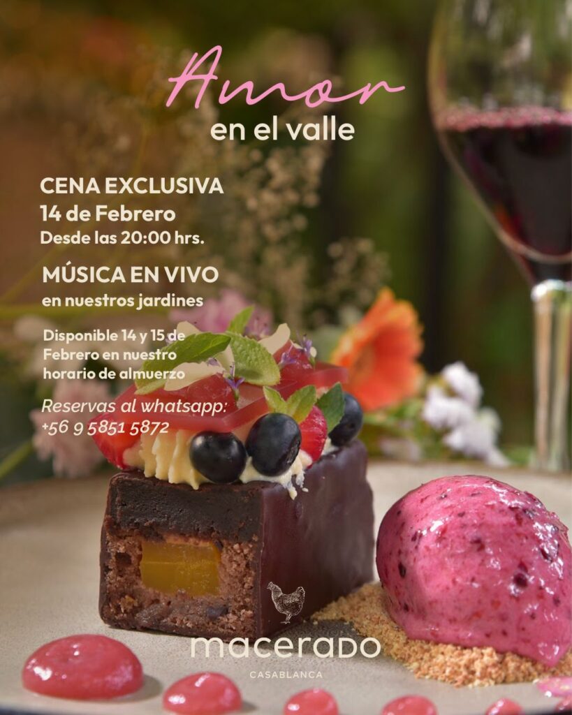 WhatsApp Image 2026-02-08 at 09.16