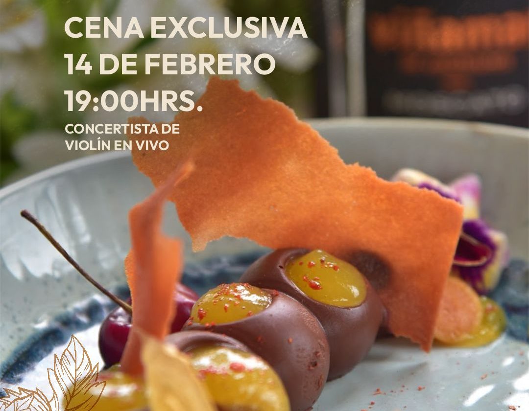 WhatsApp Image 2026-02-05 at 12.42.52