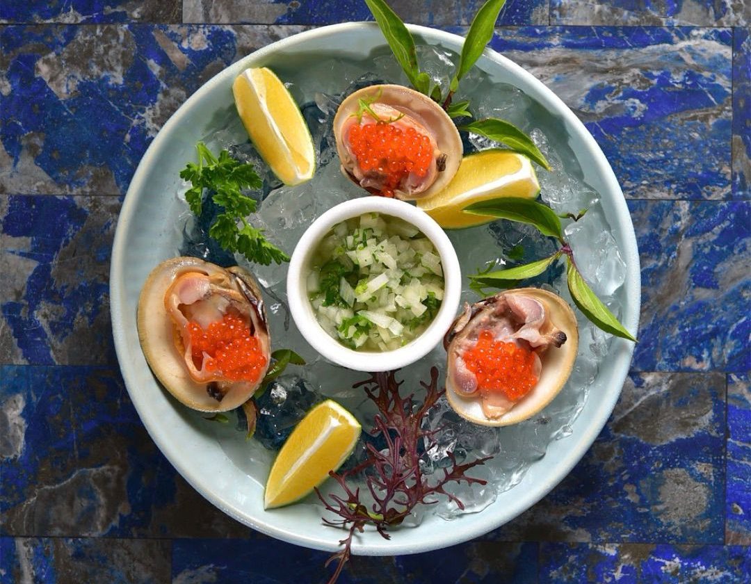 WhatsApp Image 2026-03-26 at 15.06.14 (1)